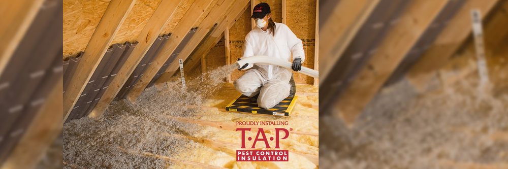 Photo of Georgia Insulation