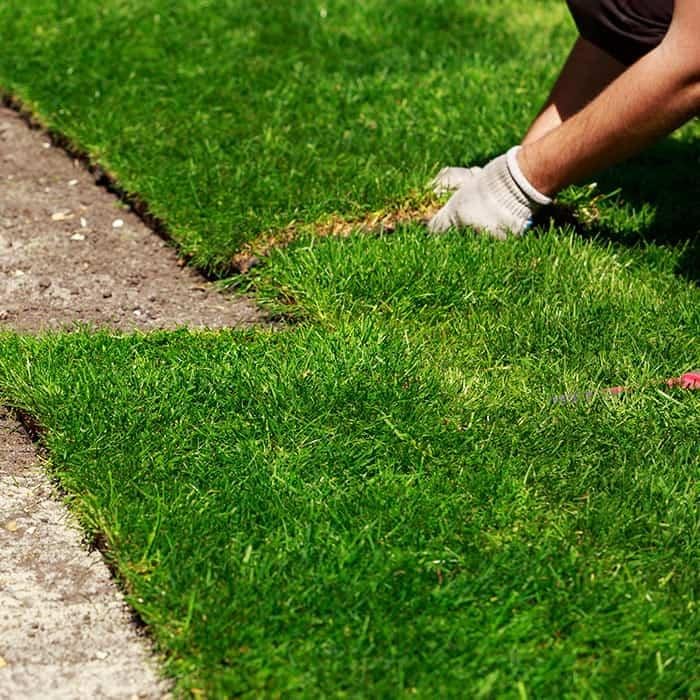 Photo of STARR Turf
