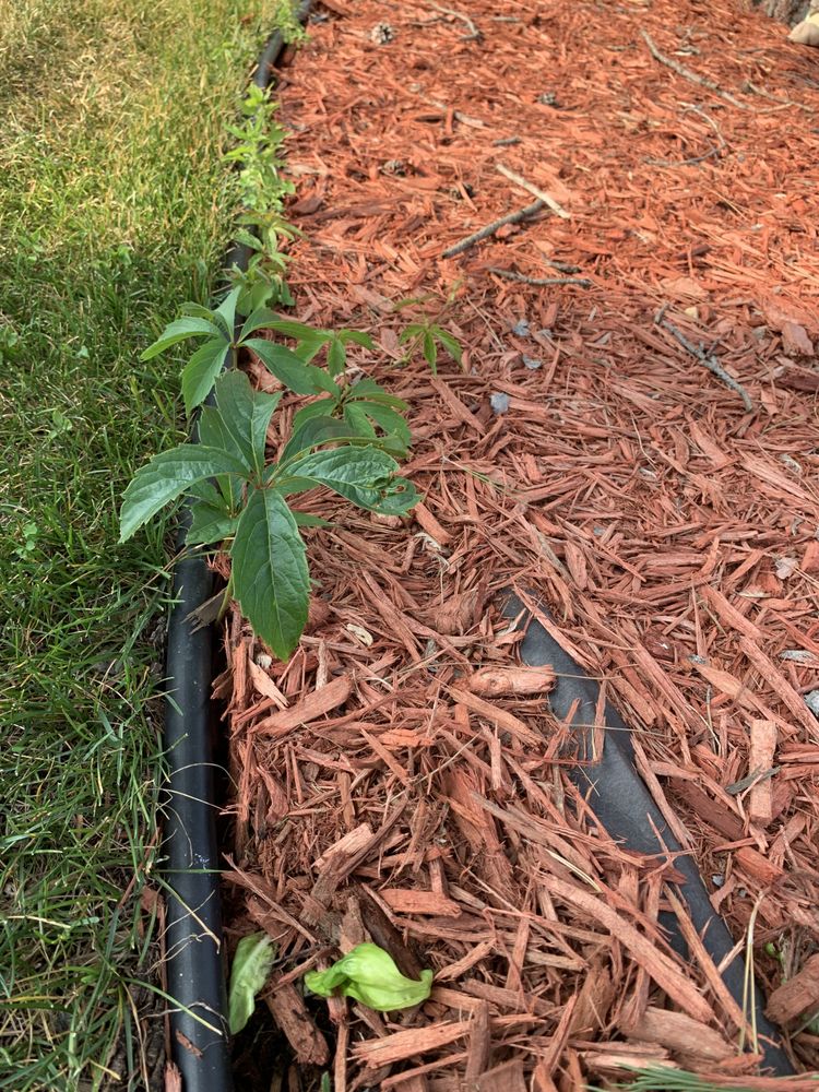 Photo of Buck Landscaping