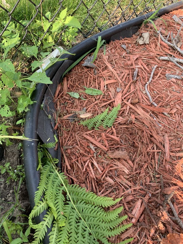 Photo of Buck Landscaping