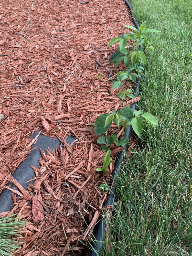 Photo of Buck Landscaping