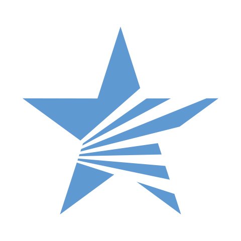Photo of Lone Star Pro Services