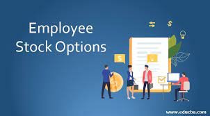 Photo of Complete Tax Solutions