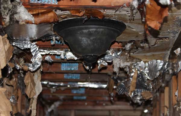 Photo of Remedics Restoration Carolinas