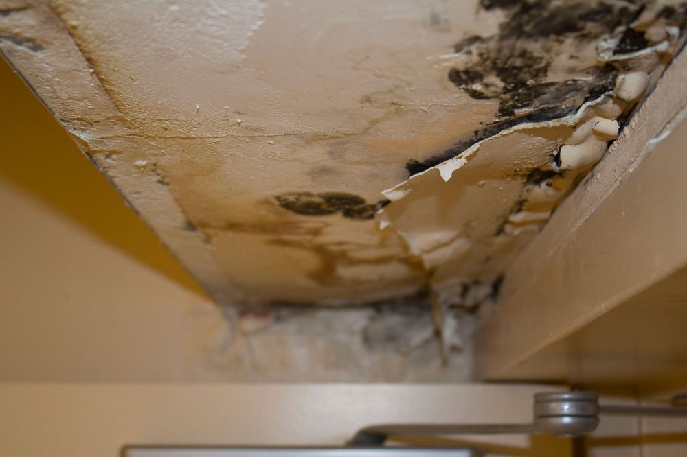 Photo of Remedics Restoration Carolinas