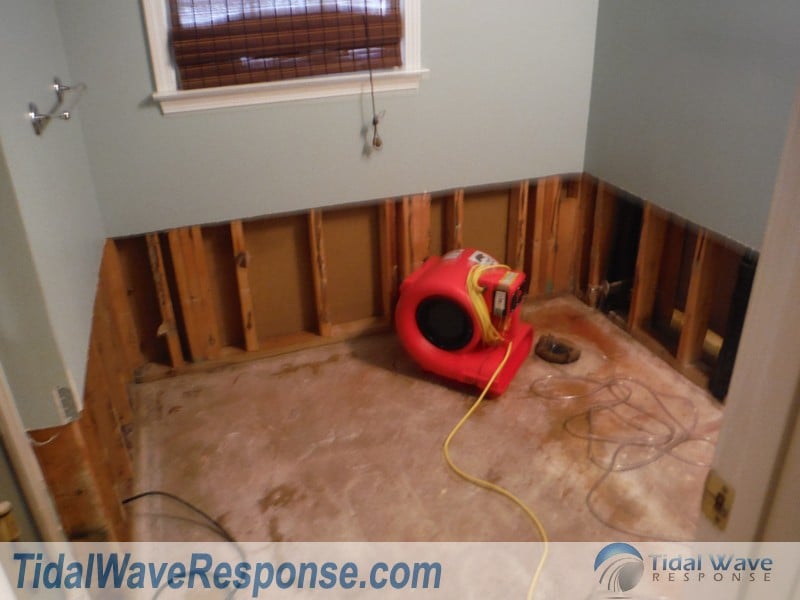 Photo of Tidal Wave Response