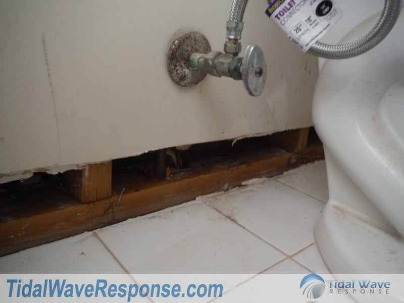 Photo of Tidal Wave Response