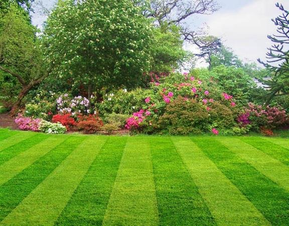 Photo of Nava Landscapes