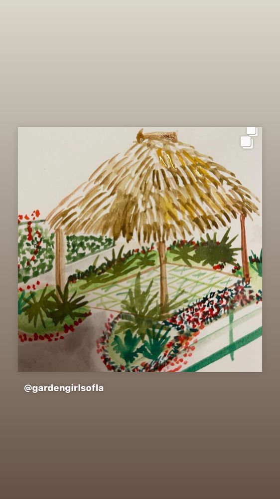 Photo of Palms And Fronds