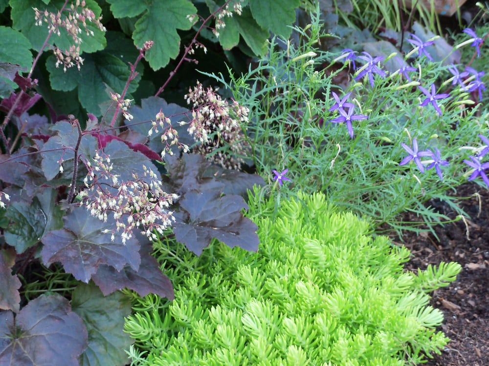 Photo of Pleasant View Gardens Inc