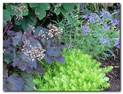 Photo of Pleasant View Gardens Inc