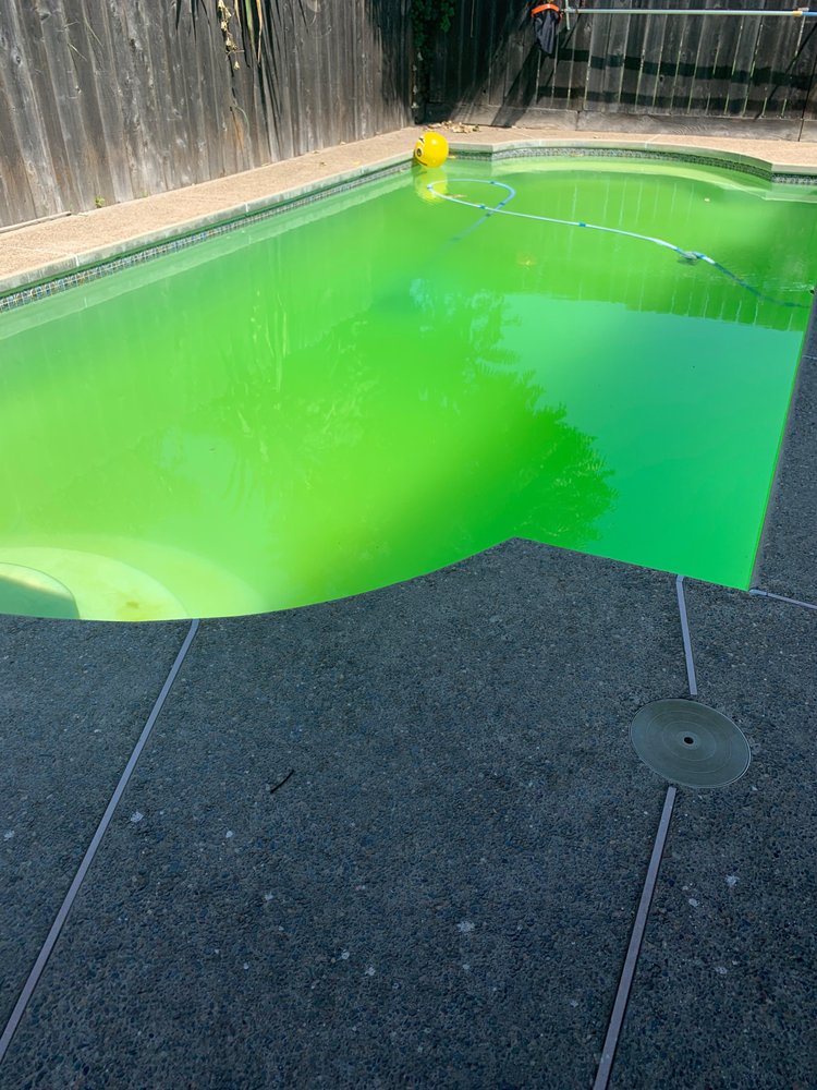 Photo of Jimenez Pools Service & Repairs