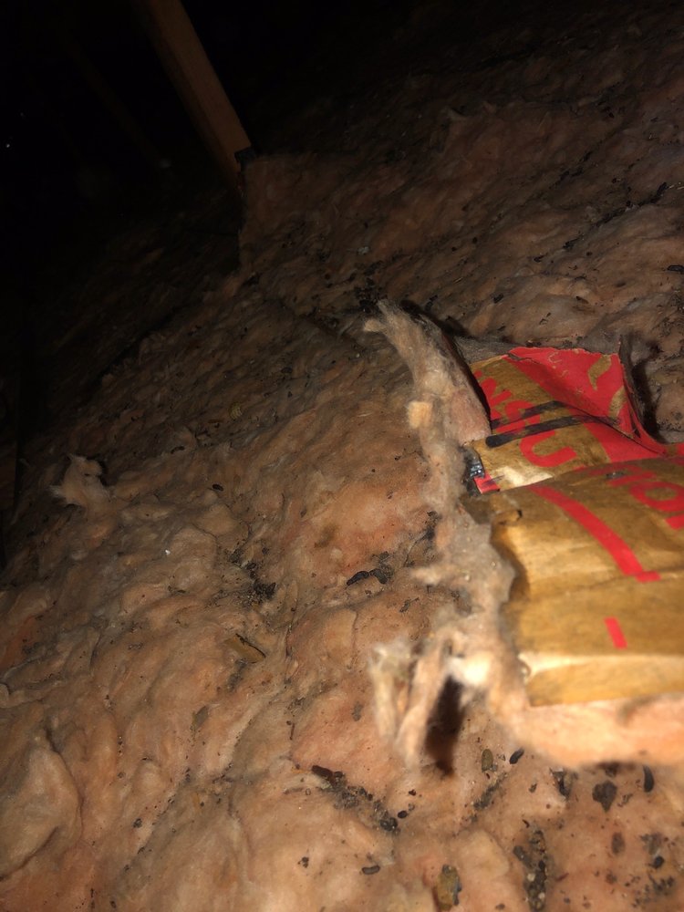 Photo of Insulation For Bay Area