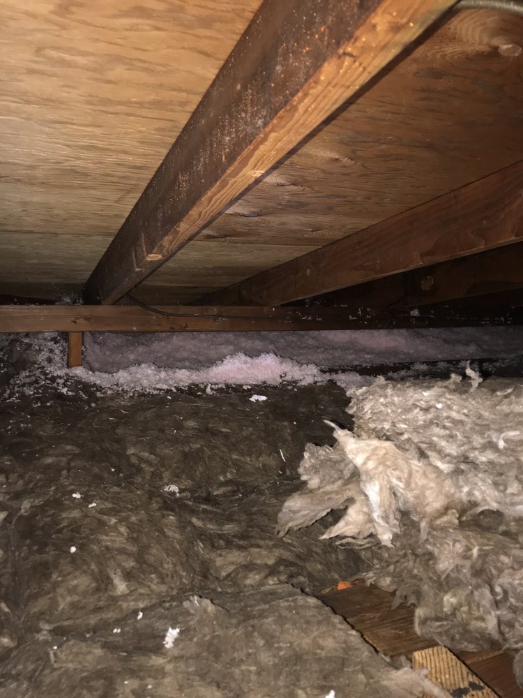 Photo of Insulation For Bay Area