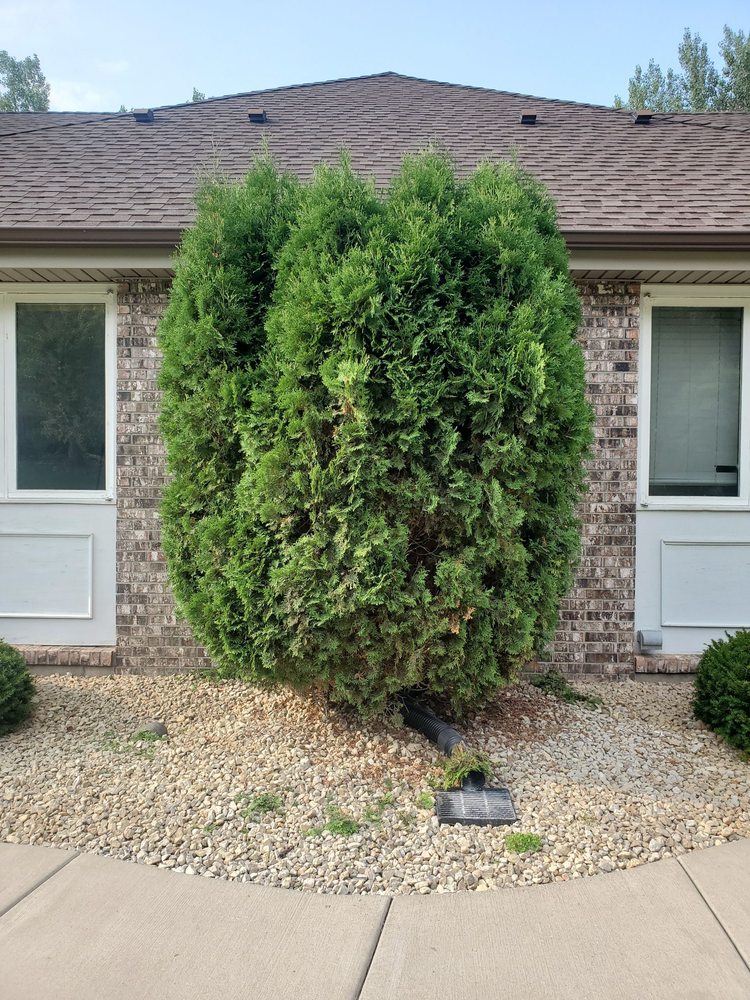 Photo of Midwest Yard Pros