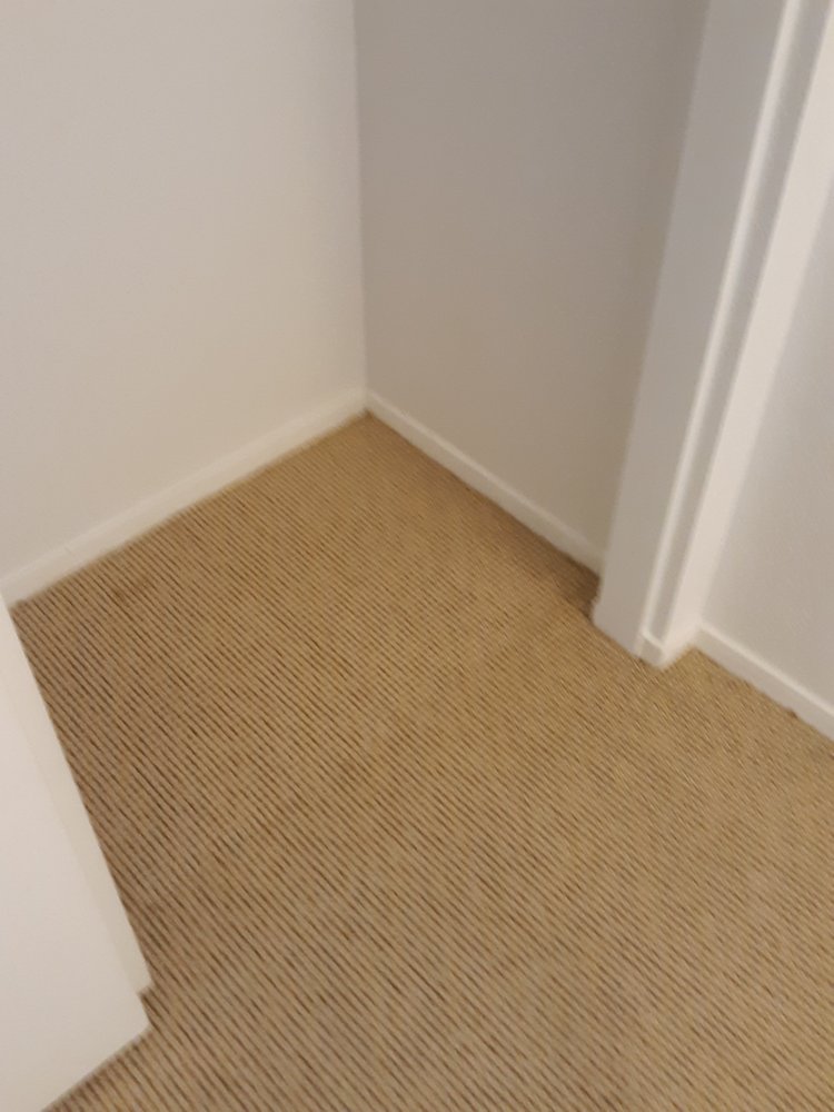 Photo of Pro Team Carpet Cleaning Las Vegas