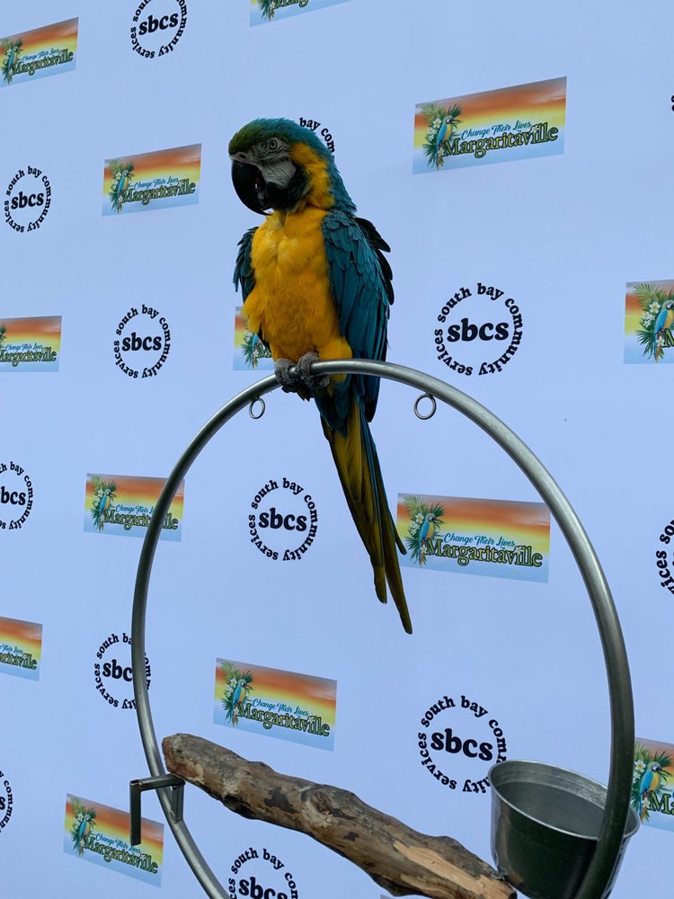 Photo of San Diego Events Company