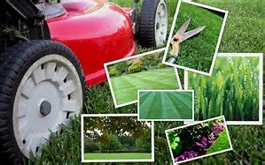 Photo of RGM Property Improvement Solutions
