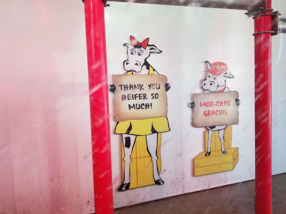 Photo of Moo Moo Express Car Wash - Huber Village