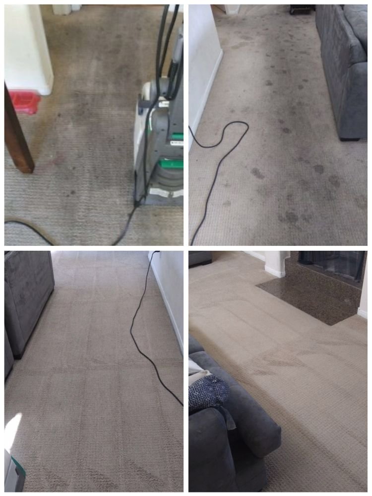 Photo of Daddy Vito's Carpet Cleaning