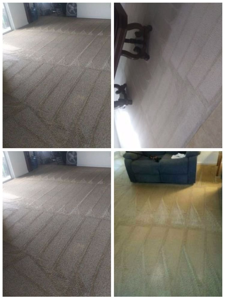 Photo of Daddy Vito's Carpet Cleaning
