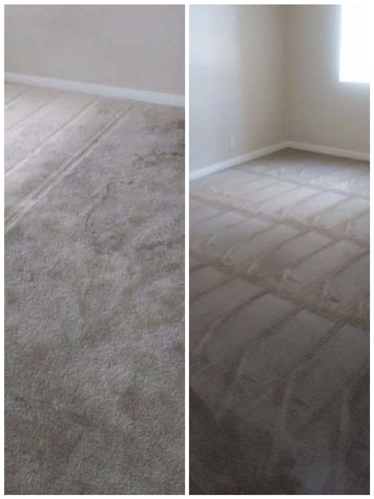 Photo of Daddy Vito's Carpet Cleaning