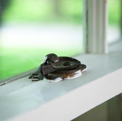 Photo of Thompson Creek Window Company - Chesapeake