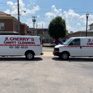 Springfield Cherry's Carpet Cleaning