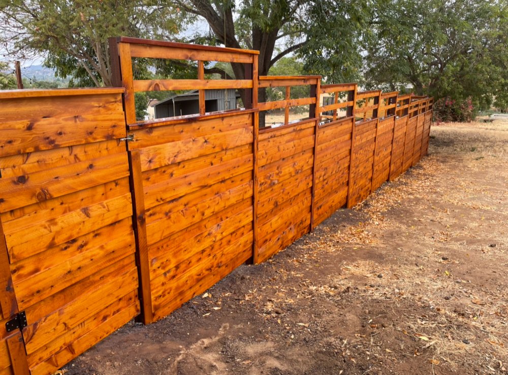 Photo of Doctor Fence