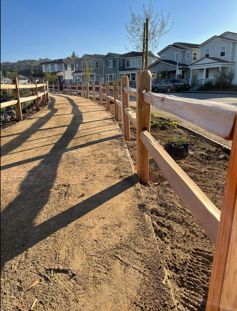Photo of Doctor Fence