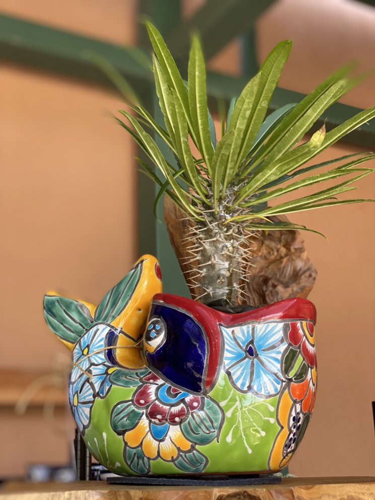 Photo of El Jardin Del Colibri