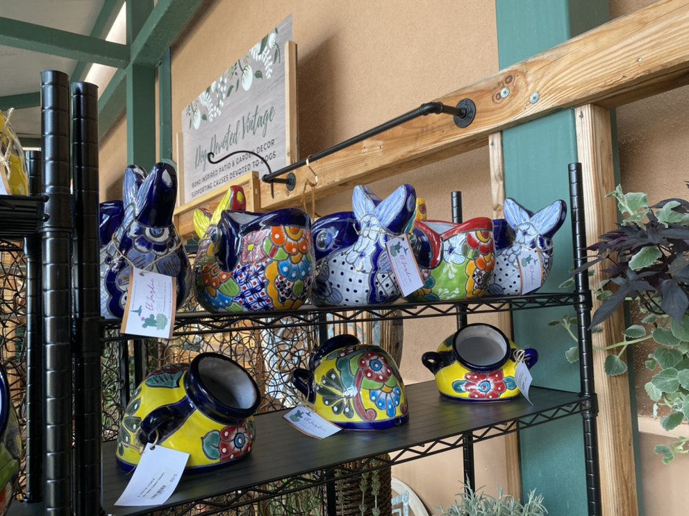 Photo of El Jardin Del Colibri