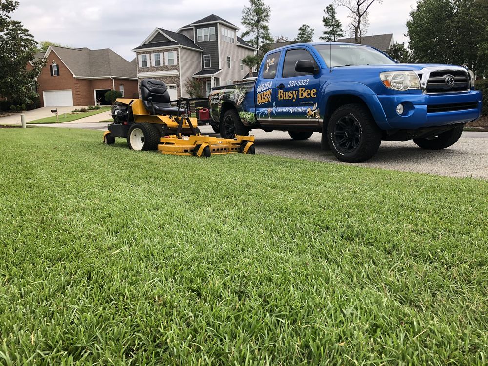 Photo of Busy Bee Lawn Care & Sprinkler Repair