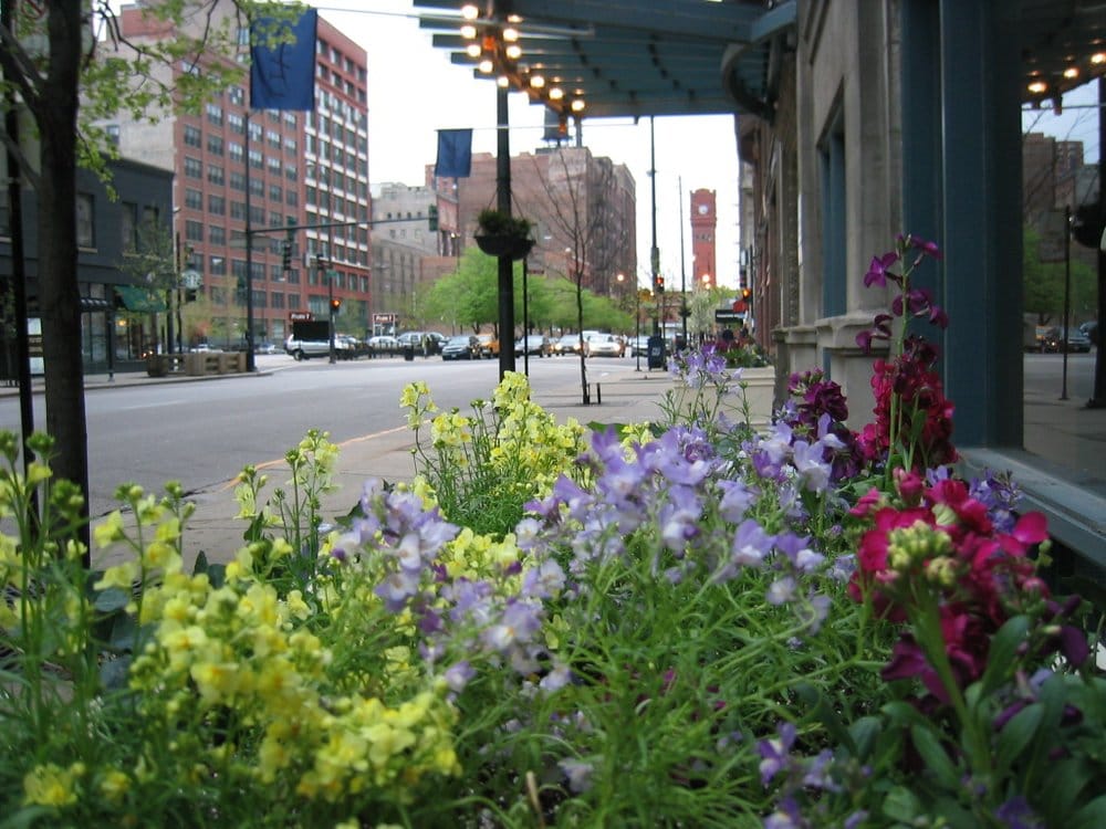 Photo of Urban Apartment Locators
