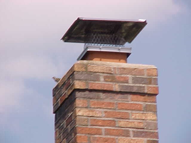 Photo of Blackburns Chimney Services