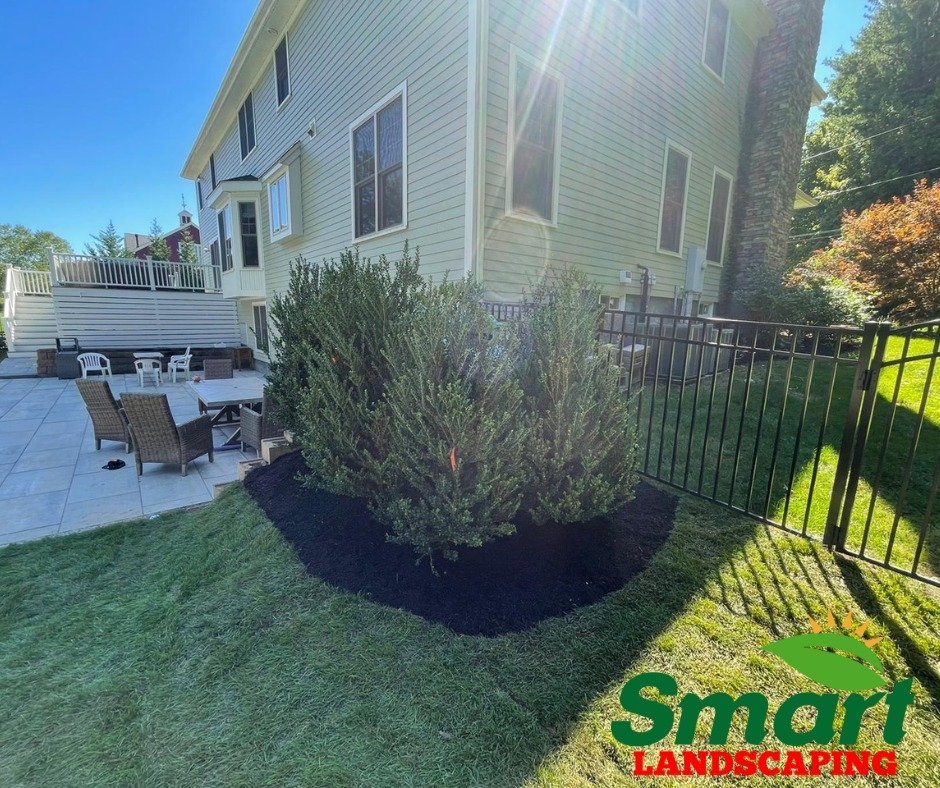 Photo of Smart Landscaping