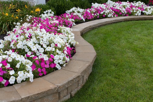 Photo of Randy's Lawn Care