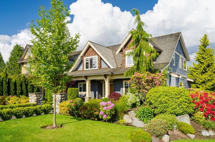 Photo of Randy's Lawn Care
