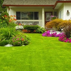 Photo of Randy's Lawn Care