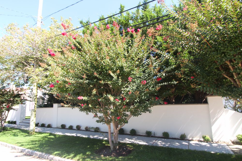 Photo of VS Roses Landscaping & Design