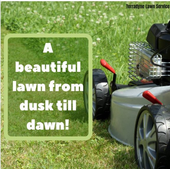 Photo of Terradyne Lawn Service