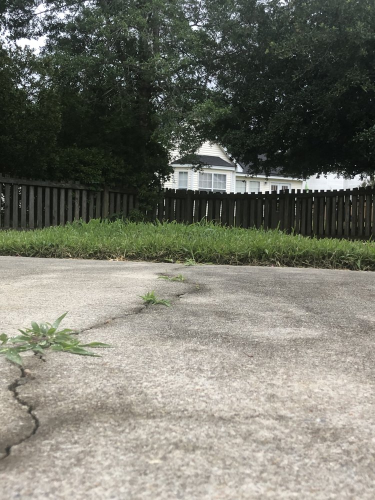 Photo of Simply Green Landscaping
