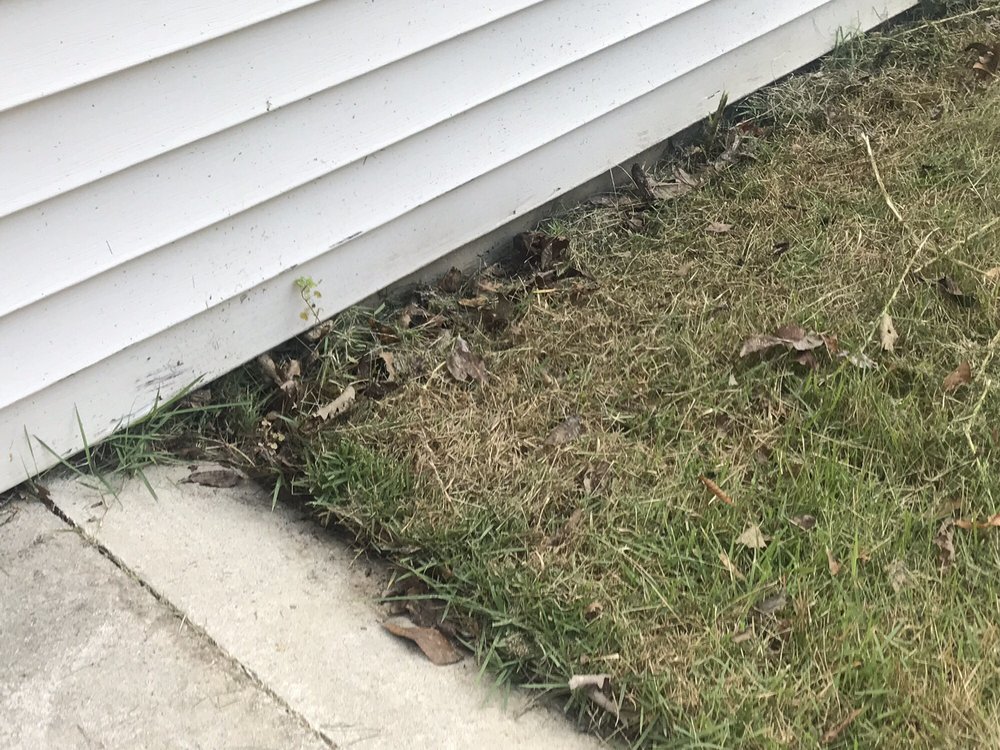 Photo of Simply Green Landscaping