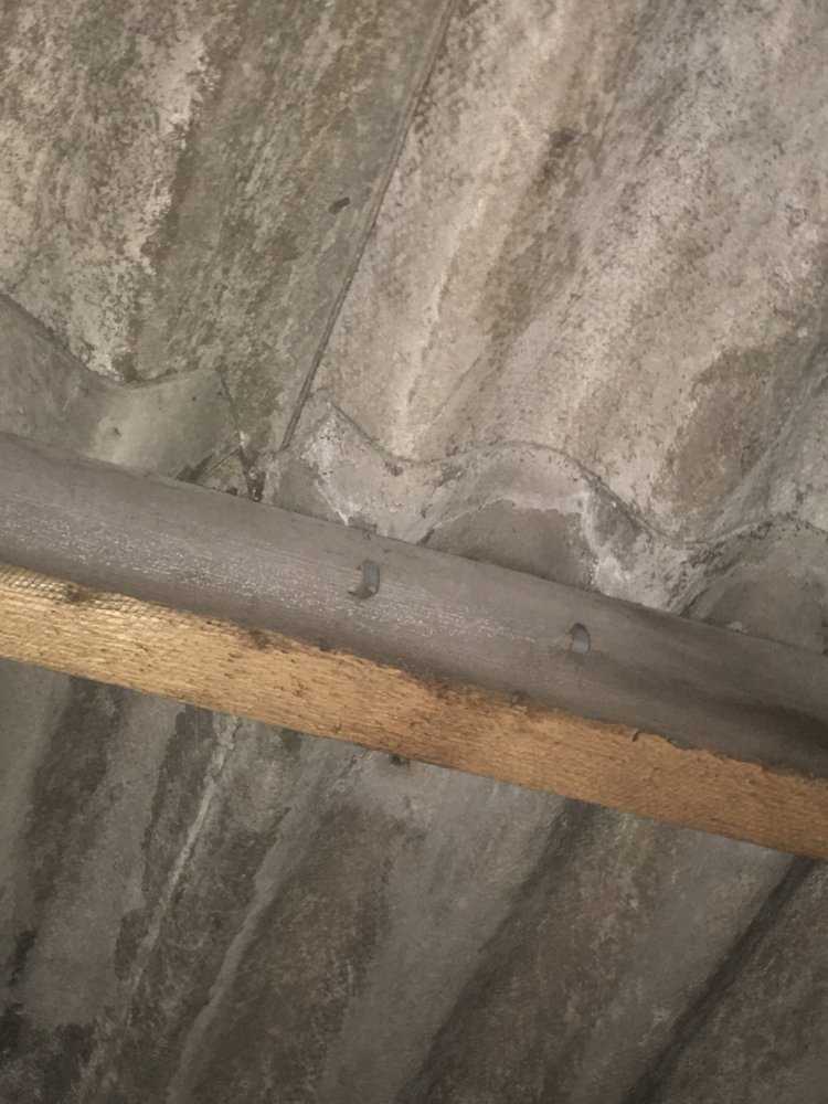 Photo of Forth Asbestos Services