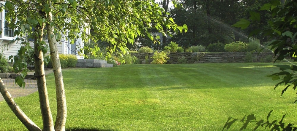 Photo of Earthly Lawn Care and Landscaping Service