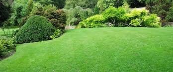 Photo of Earthly Lawn Care and Landscaping Service