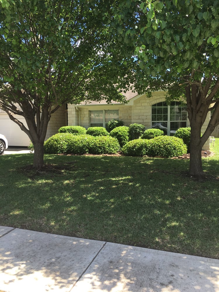 Photo of Earthly Lawn Care and Landscaping Service