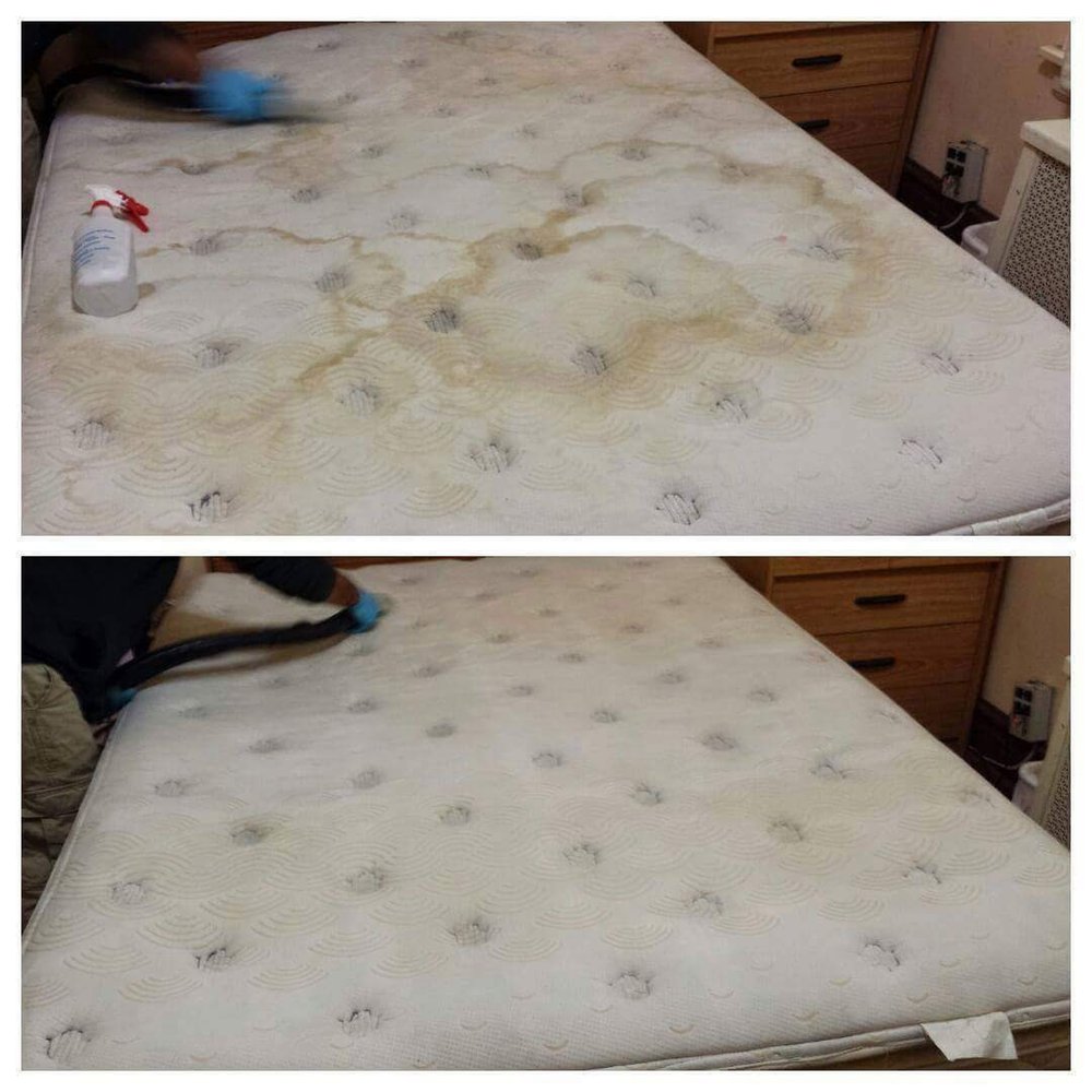 Photo of New Dawn Carpet Cleaning