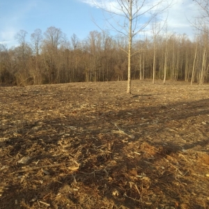 Photo of Forest Mulchers