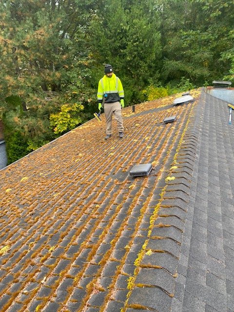 Photo of Yeti Gutter & Roof Cleaning